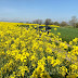 Week-end Tarnais - Le tour du proprio ?