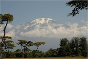 Several international airlines offer cheap flight tickets like Turkish . (kilimanjaro mountaineering)