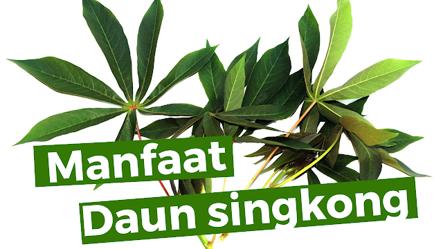Manfaat daun singkong