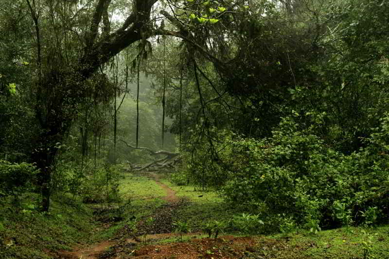 Indira Gandhi National Park