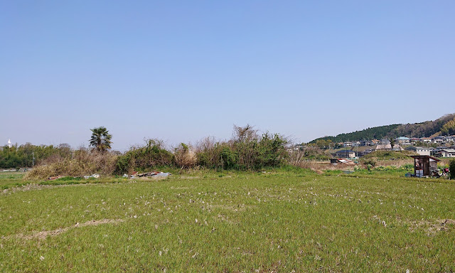 西野々古墳群(富田林市)