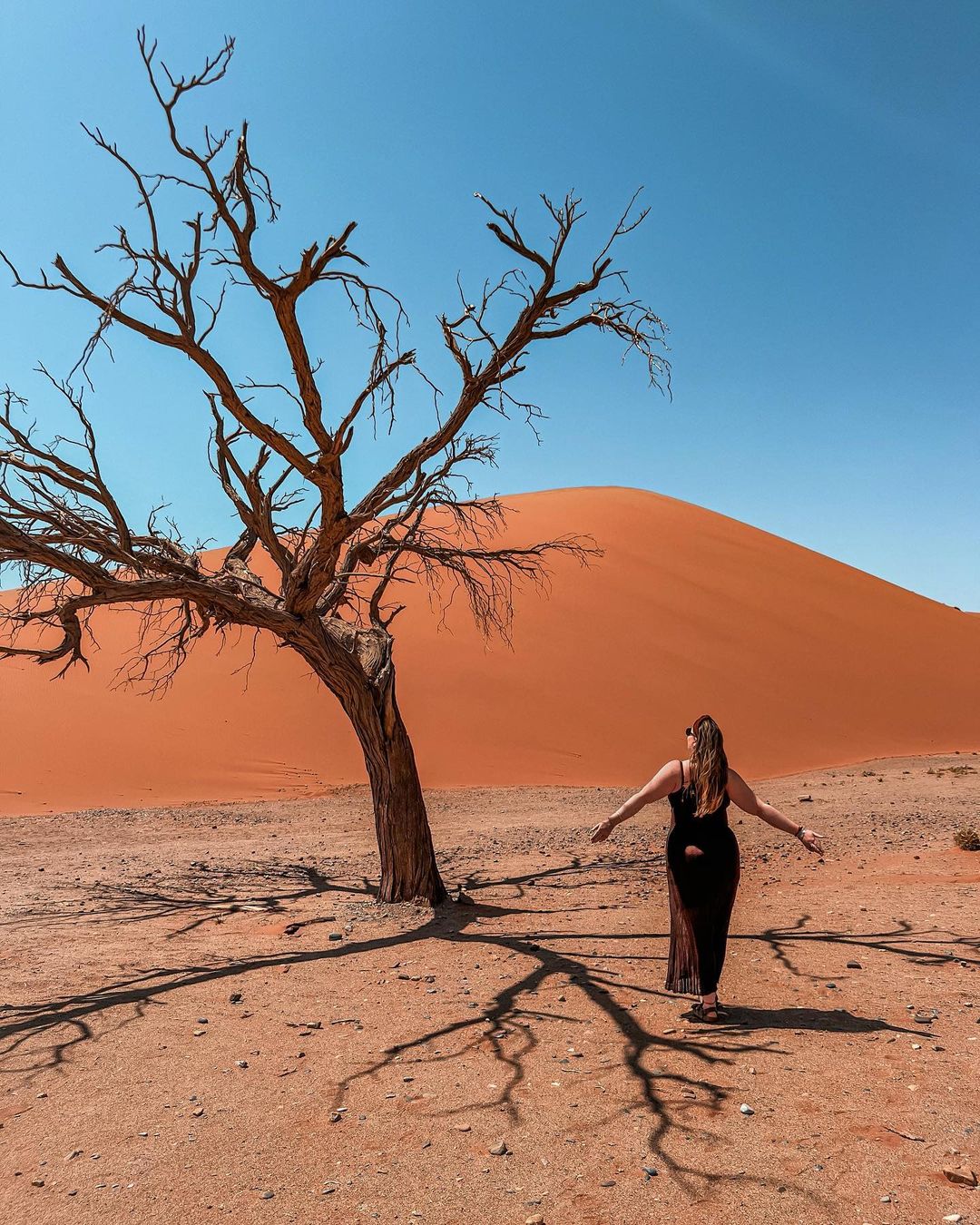 Lacherelle rondreis Namibië de ultieme route handige tips