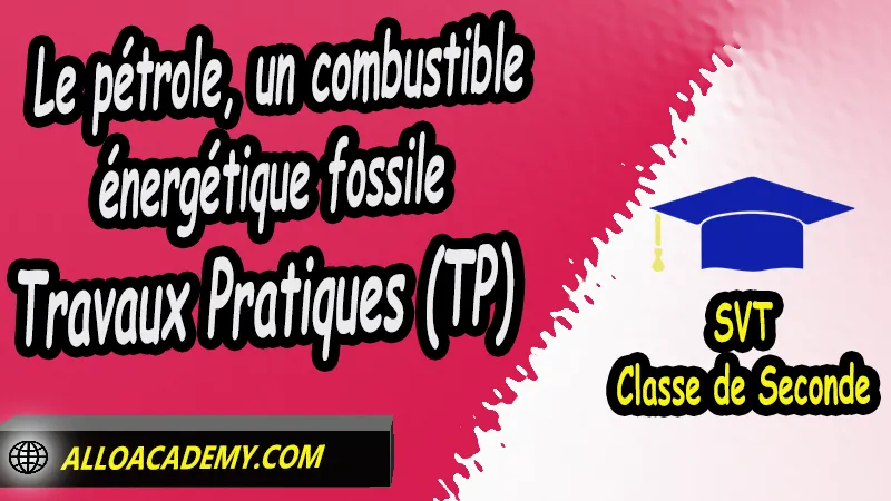 Le pétrole, un combustible énergétique fossile - Travaux Pratiques (TP) - Sciences de la Vie et de la Terre (SVT) Classe de seconde, Thème 2 Les enjeux planétaires contemporains : énergie, sol, Sciences de la Vie et de la Terre (SVT) seconde, Sciences de la Vie et de la Terre (SVT) en classe de seconde générale et technologique, programme svt seconde pdf, programme svt lycée, études secondaires, prof svt, prof particulier svt, cours svt seconde pdf, svt 2nde, cours svt - lycée pdf, cour de svt seconde, résumé cours svt seconde pdf, Exercices corrigés de SVT en classe de seconde Travaux Pratiques (TP) SVT en classe de seconde fiche svt seconde, quel est le programme de svt en seconde, Sciences de la Vie et de la Terre seconde, Sciences de la Vie et de la Terre 2nde pdf, Sciences de la Vie et de la Terre lycée pdf, classe de seconde, Sciences de la Vie et de la Terre seconde exercices corrigés pdf, Sciences de la Vie et de la Terre seconde manuel, Le programme de Sciences de la Vie et de la Terre au secondaire, cours de Sciences de la Vie et de la Terre seconde gratuit en ligne, Système éducatif en France, Le programme de la classe de Seconde en France