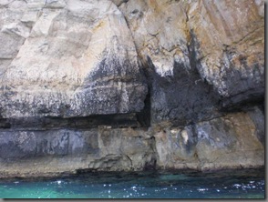 P7290273