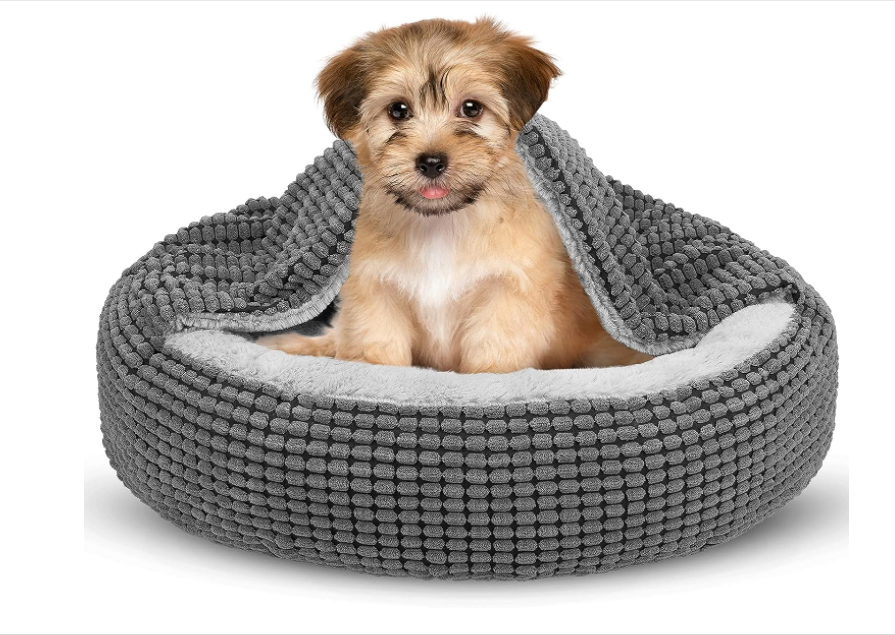 SIWA MARY's Small Dog Bed with Attached Blanket for Miniature Schnauzers