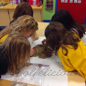 Photo of Looking at soil