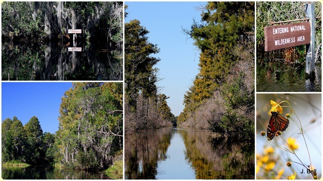 71 Okefenokee NWR 2012-132