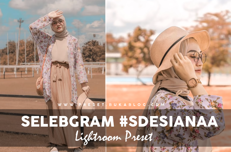 Free Selebgram @Sdesianaa Lightroom Preset XMP & DNG