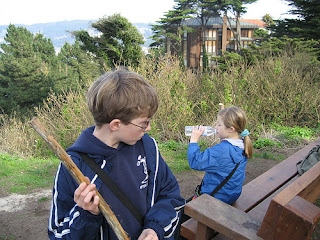 Playing on the trail