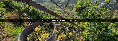 Adv Fossalta Di Piave Italia Prosecco Winemaker & Supplier