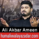 https://www.humaliwalayazadar.com/2015/04/ali-akbar-amin-nohay-2012-to-2016.html