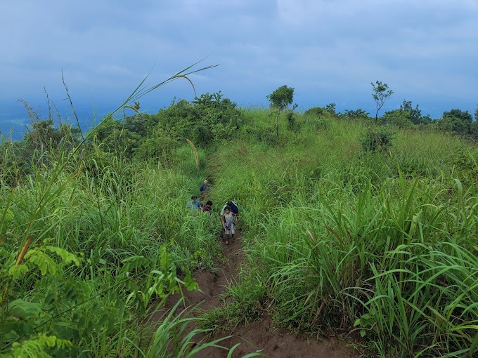 The beautiful hike to the Kurumbalakota grasslands