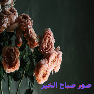 صور صباح الخير 