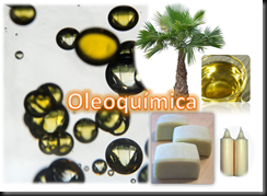 oleochemistry