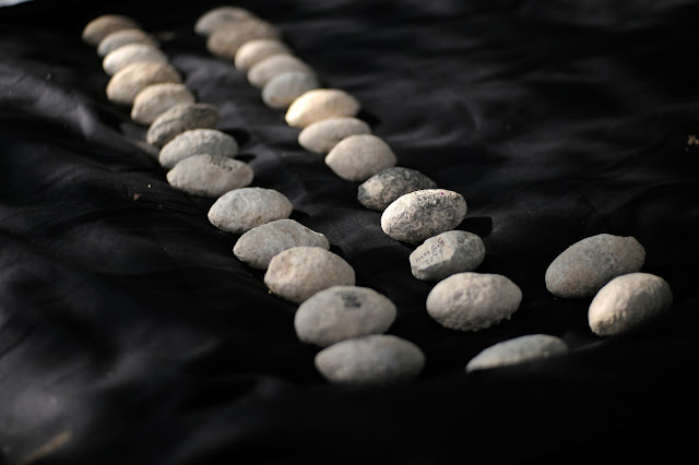Πέτρες σφεντόνας της Λίθινης Εποχής βρέθηκαν στο Ισραήλ. [Credit: Emil Aladjem/IAA]
