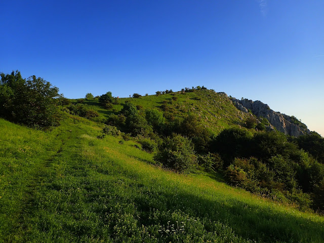 Piatra Secuiului (Skała Szeklerów; 1128 m n.p.m.)