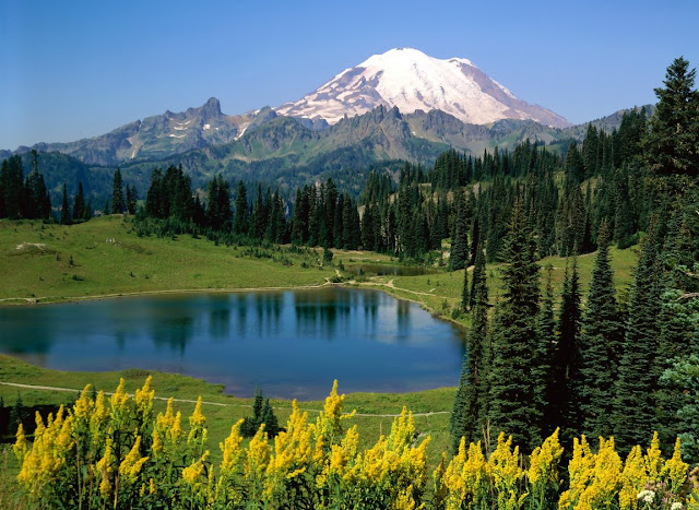 Nature background with lake