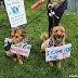 Dogs Marched for Science on Earth Day, Too!