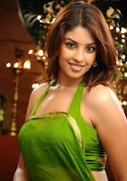 Richa, gangopadhyay, hot, saree, pics