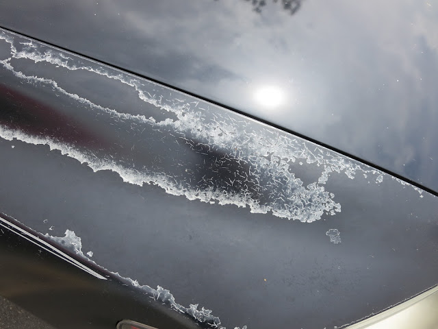 Close-up of microchecking on 2008 Honda Civic Coupe before painting at Almost Everything Auto Body