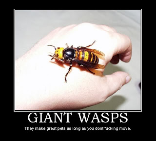 Motivational giant wasps, motivational posters, motivational posters giant wasps, giant wasps, wasps, motivational pictures, funny motivational