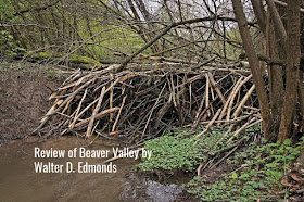 Beaver Dam: Review of Beaver Valley by Walter D. Edmonds