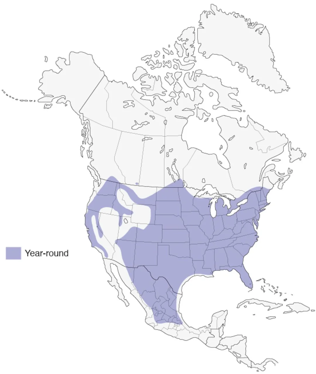 Range of wild turkey