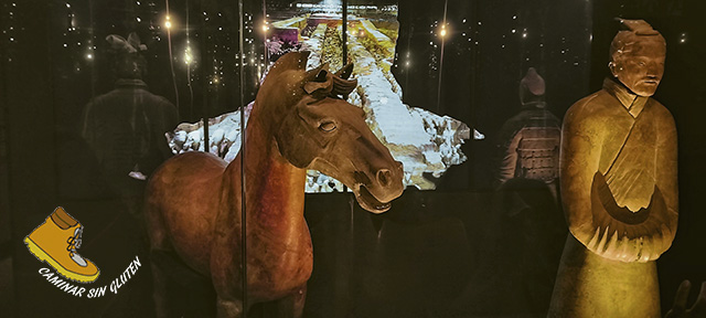 Guerrero de terracota y caballo en la exposición del Marq
