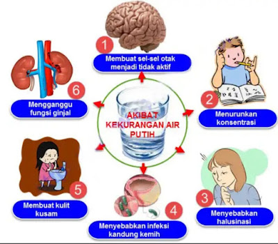 Kunci Jawaban Buku Tematik Siswa Kelas 5 Tema 3 Pembelajaran 4 Subtema 3 Pentingnya Menjaga Asupan Makanan Sehat Halaman 101 102 103 104 105 106