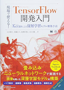 現場で使える! TensorFlow開発入門 Kerasによる深層学習モデル構築手法 (AI & TECHNOLOGY)