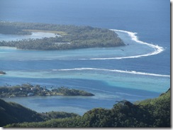 rehuahine 019