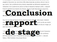 Rapport De Stage Exemple De Conclusion