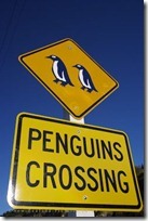 penguins-crossing-sign_2509