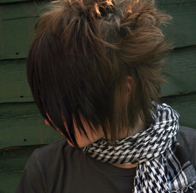 Emo Hairstyle For Boys. pictures Summer Emo Hairstyles