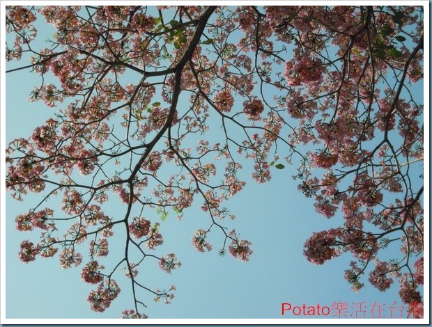 DSCN0050