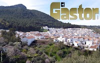 EL GASTOR