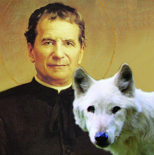 Saint John Bosco and his big grey dog, saint john bosco guardian angel, saint john bosco miracles