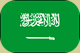 750px-Flag_of_Saudi_Arabia.svg[5] (1)