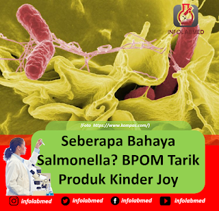 Seberapa Bahaya Salmonella BPOM Tarik Produk Kinder Joy