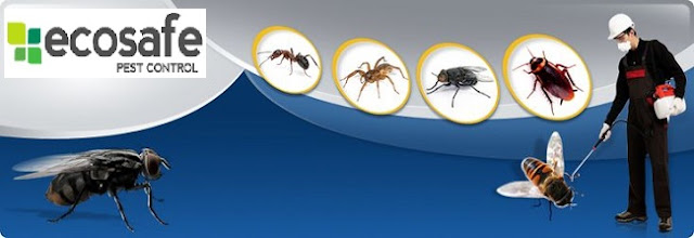 Pest Control Melton