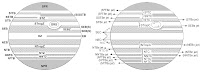 Belt Zone Circulation Jupiter3