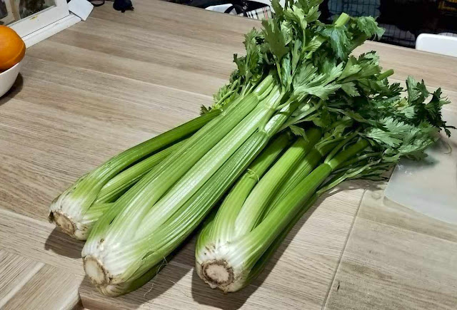Three bunches of celery for dehydrating