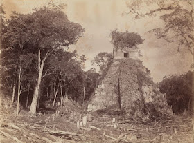 Lugares abandonados retomados por la naturaleza