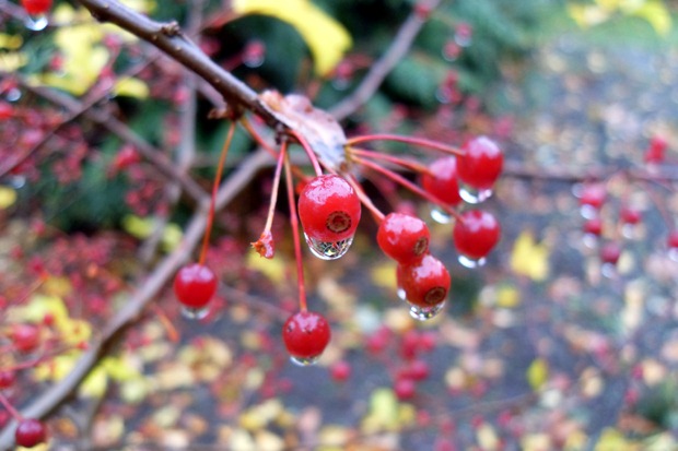 oktober 2010