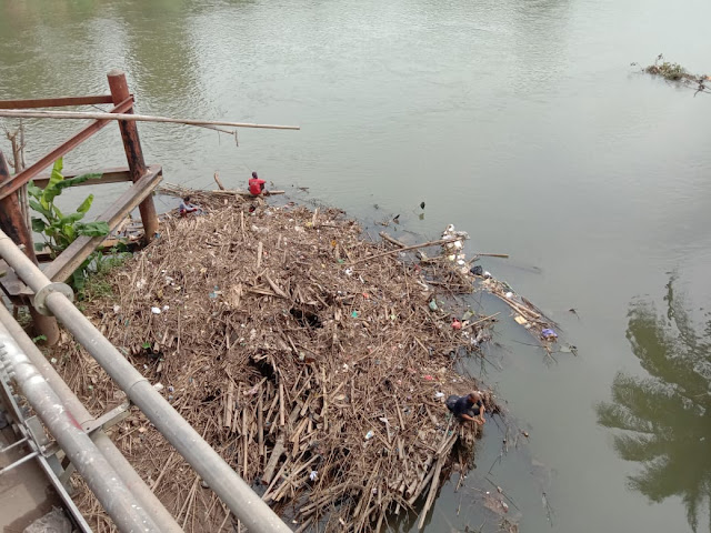 Sampah, Kayu Dan Bambu Kembali Numpuk Di Bawah Jembatan Ogan Dua