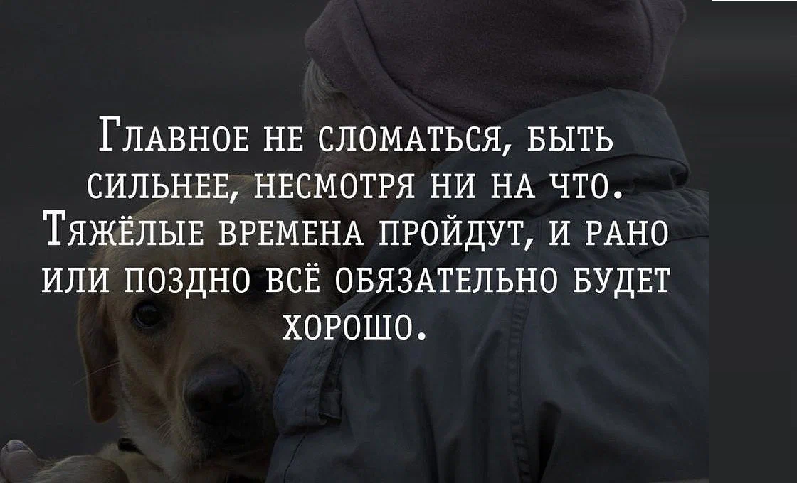 Не бывает сложных времен. Цитаты про поддержку. Афорищмыпро поддержку. Высказывания про поддержку. Поддержка цитаты высказывания.