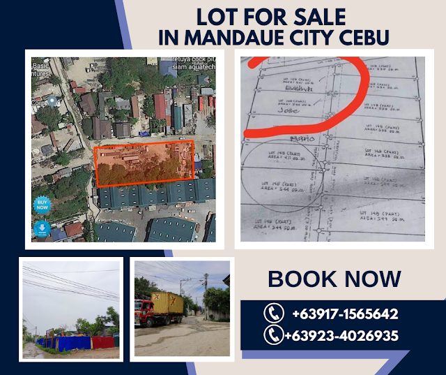 Perfect for your Business Commercial Lot in Mandaue City Cebu | Ideal for Commercial Establishment or Warehouse