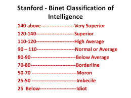 IQ 110