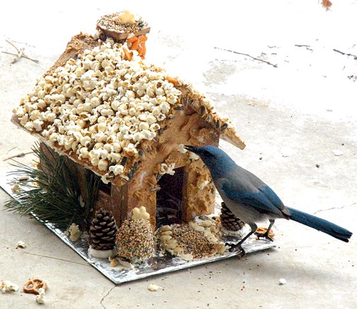 wooden bird feeder plans