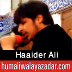 http://www.humaliwalayazadar.com/2015/10/haider-ali-nohay-2016.html
